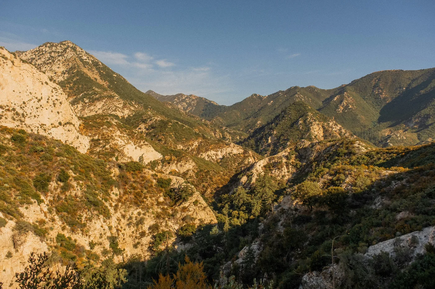 The Altadena and Pasadena foothills, affected by wildfire