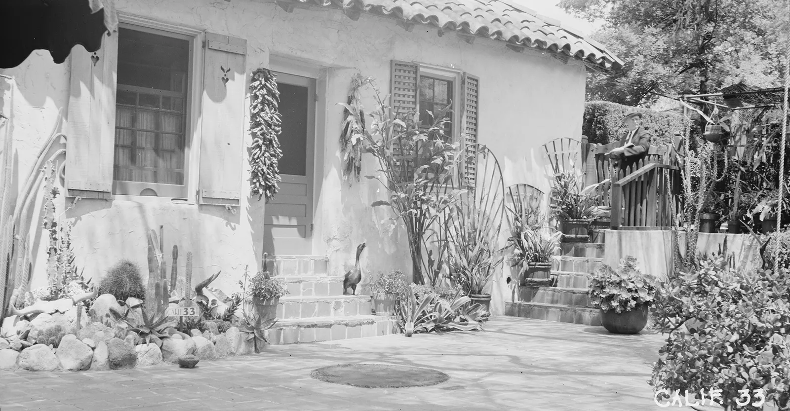 Flores Adobe