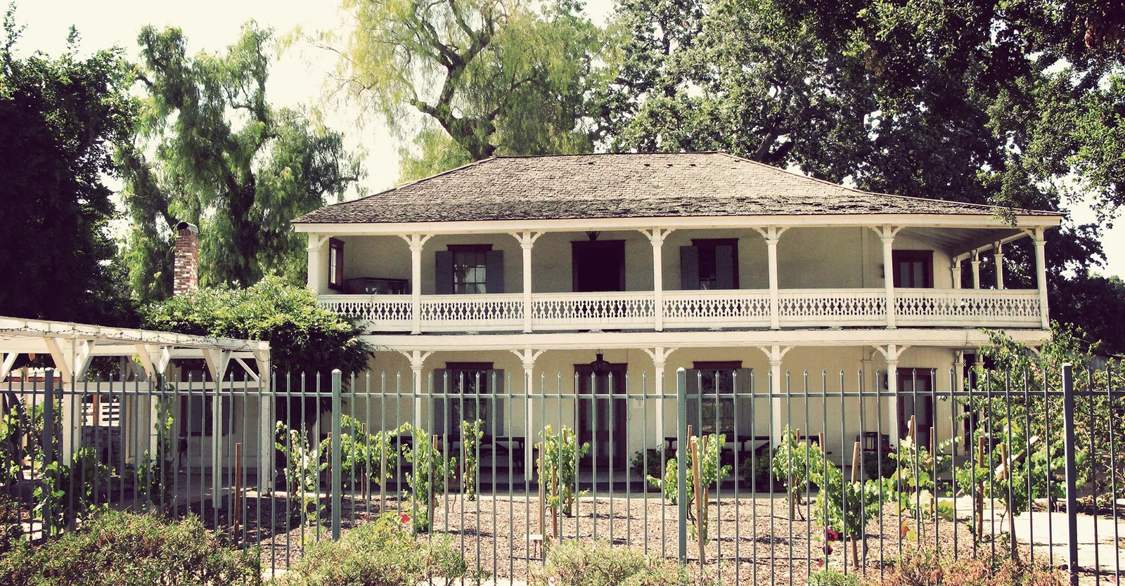 Leonis Adobe